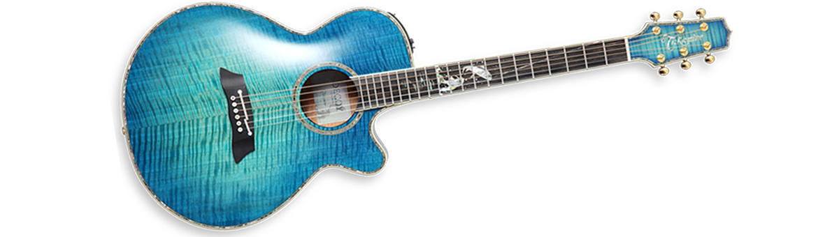 Takamine deals ltd 2011